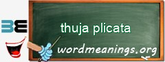 WordMeaning blackboard for thuja plicata